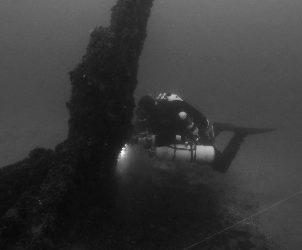 Wrack vor Rügen